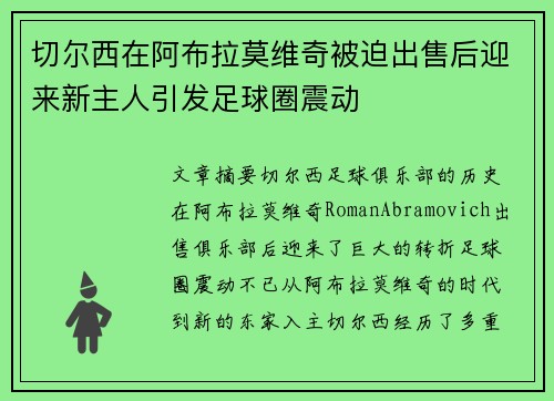 切尔西在阿布拉莫维奇被迫出售后迎来新主人引发足球圈震动